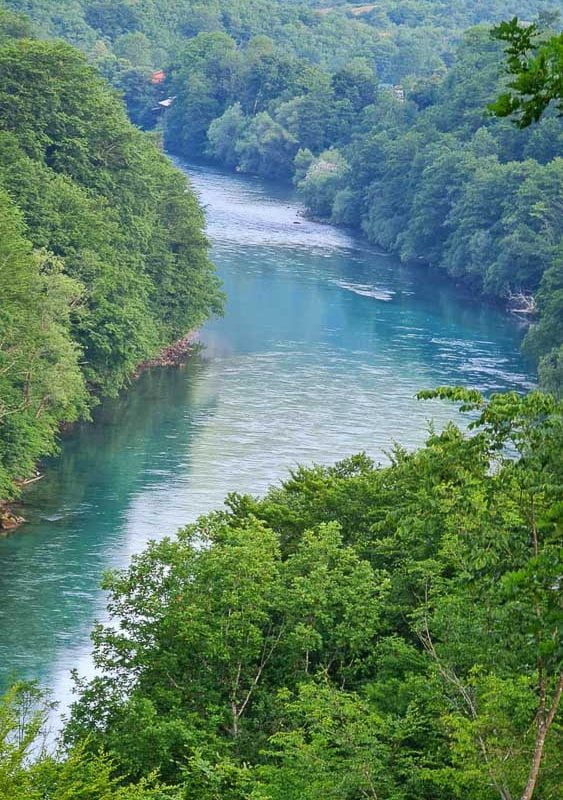 Tara rafting