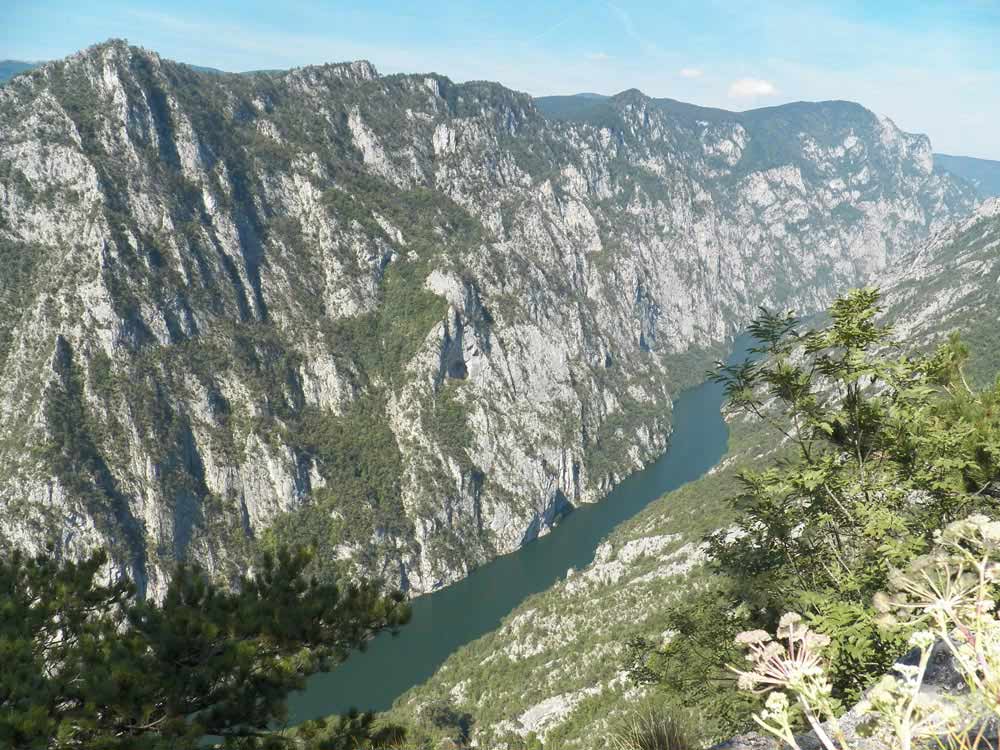 Reka Drina