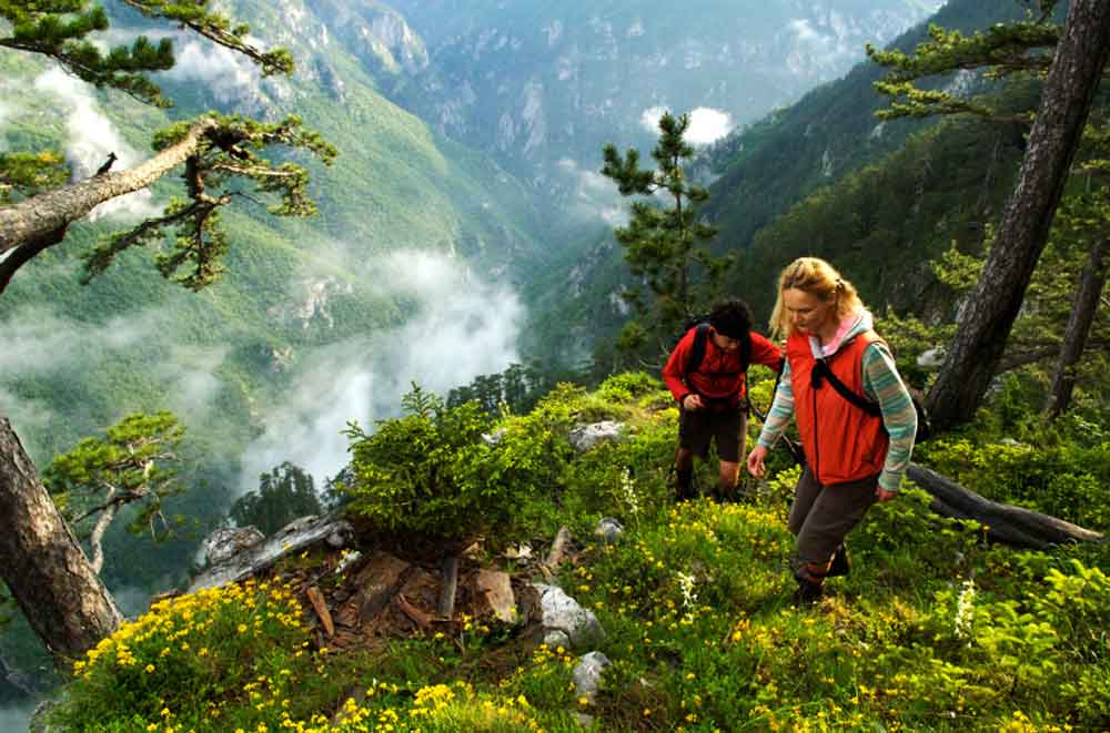 Hiking Tara kao odličan izbor ovog proleća