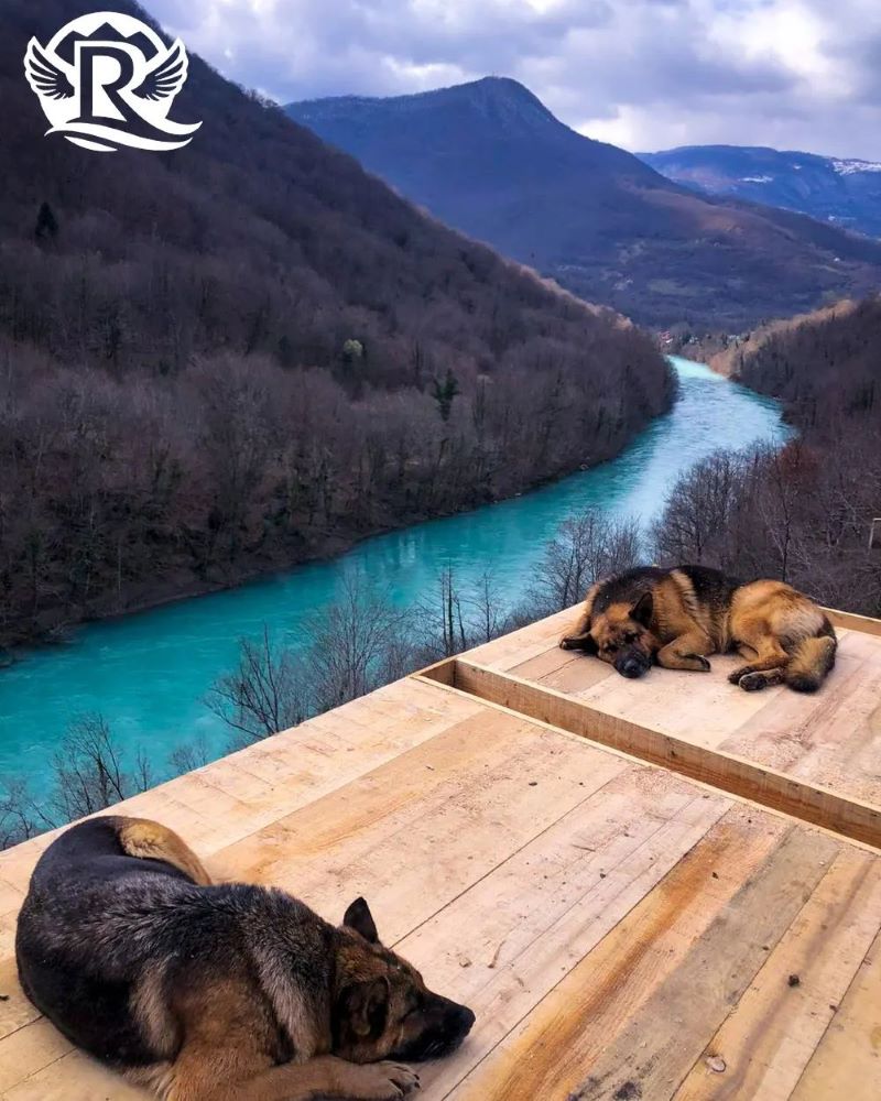 Tara rafting smeštaj – Osetite toplinu doma u prirodi