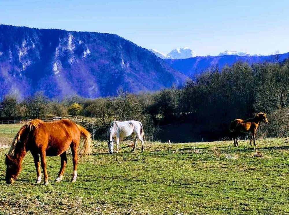 Novo poglavlje avanture selo Velenići