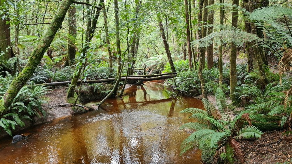 Tasmanija, Australija