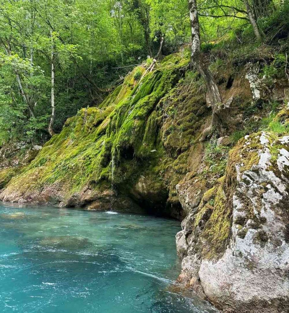 Zaboravi spa centar – Tara rafting ima bukove
