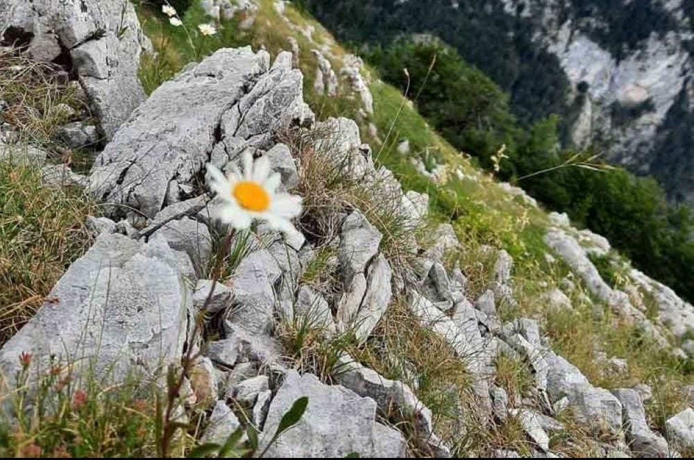 Autentična flora i fauna – duša smaragdne reke